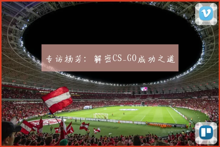 专访杨芳：解密CS_GO成功之道