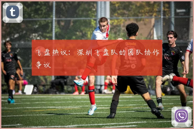 飞盘热议：深圳飞盘队的团队协作争议