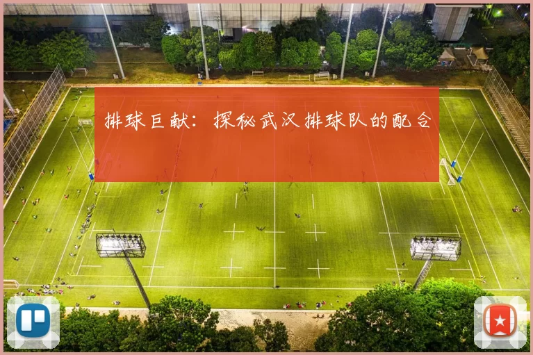 排球巨献：探秘武汉排球队的配合