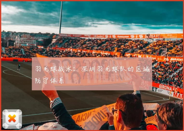 羽毛球战术：深圳羽毛球队的区域防守体系