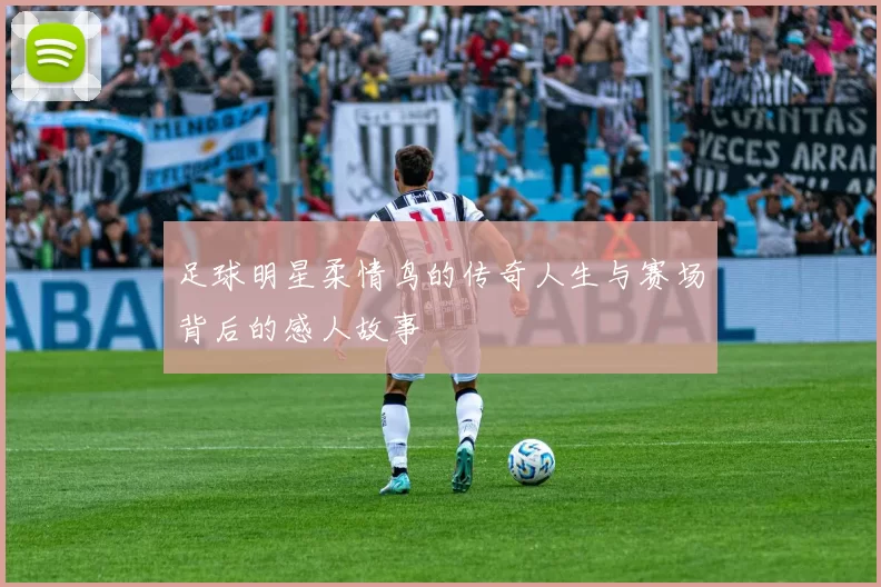 足球明星柔情鸟的传奇人生与赛场背后的感人故事