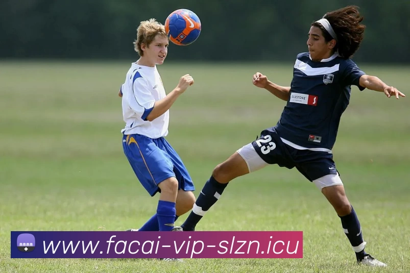 乐鱼体育APP 高清赛事图